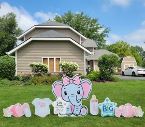 Elephants 2 20240802 113849