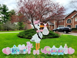 Storks 3 20250422 110940