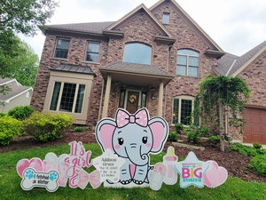 Elephants 1 20250515 182659