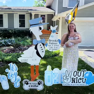 Storks 4 IMG 20250702 223402 849