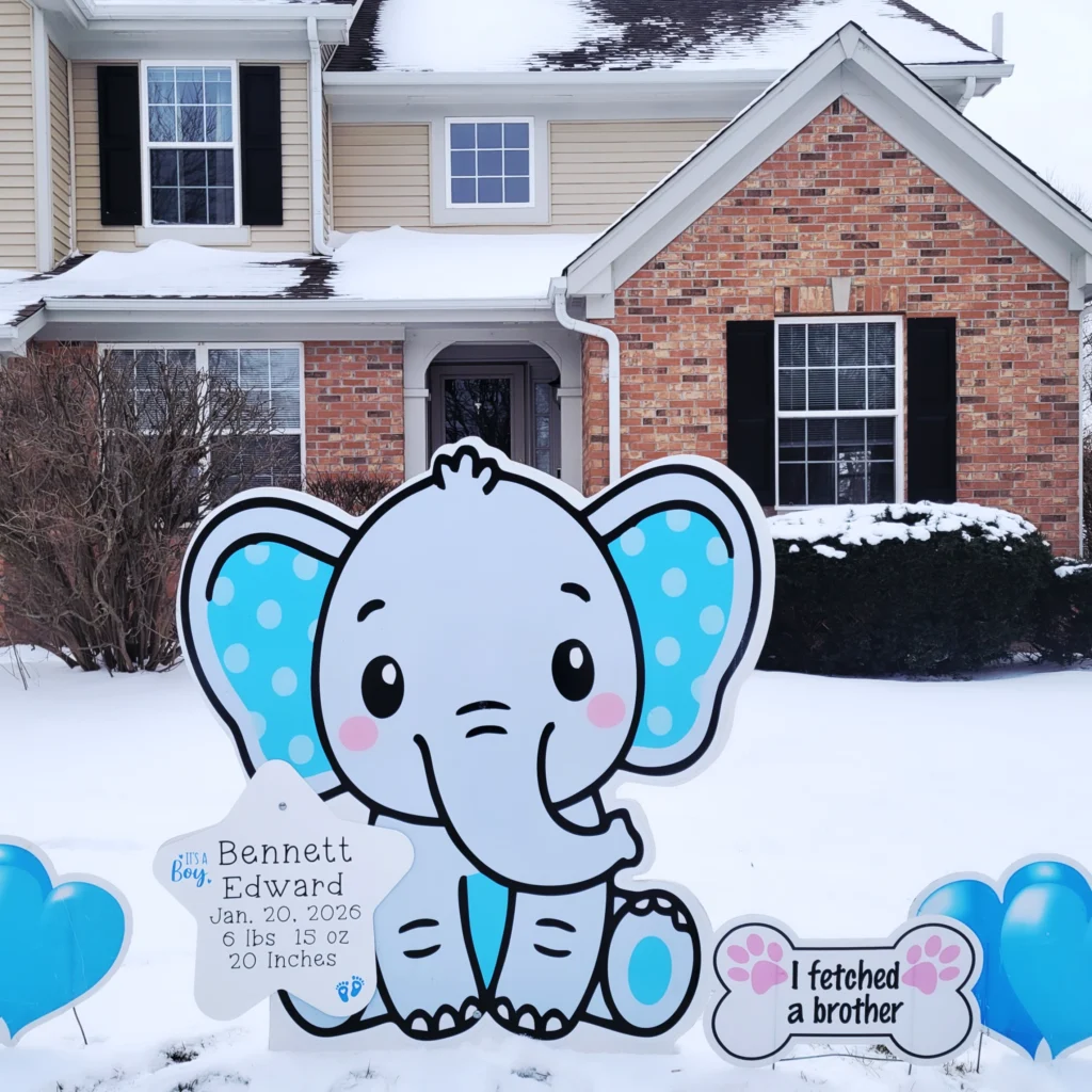 IMG 20260122 133409 924